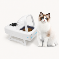 Comedero Miureva Uno junto a un gato ragdoll sin collar